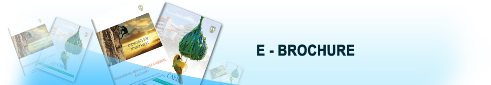 e-brochure