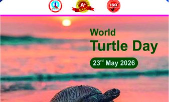 World Turtle Day 1